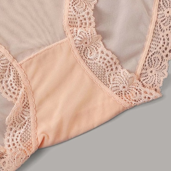 BRAND NEW Sz L LINGERIE 4pack Lace Trim Sheer Panty Set Sexy Hip Brief - Picture 5 of 8